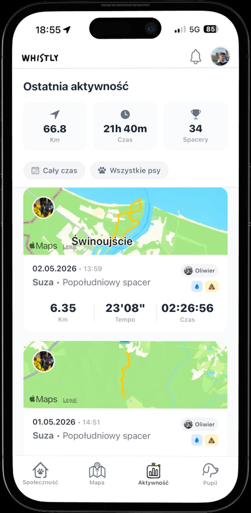 Ekran aktywności Whistly: historia spacerów z trasą, dystansem i czasem